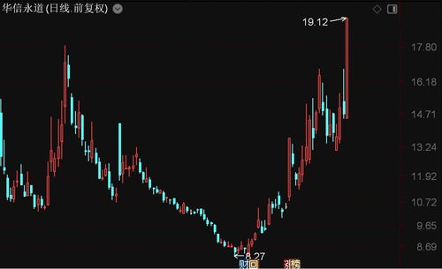 北证50指数强势上扬，华信永道、联迪信息领涨，信息系统集成服务板块表现亮眼