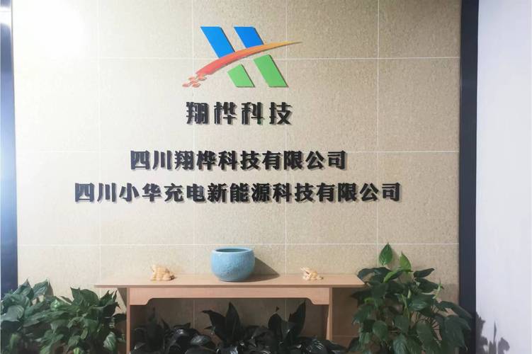 代表人程建,公司经营范围包括:信息技术咨询服务;信息系统集成服务