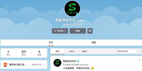 小米战略投资黑鲨游戏手机 游戏手机市场的新篇章与信息系统集成服务的前景